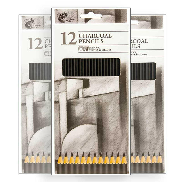 The Fashion Gift Shop: Charcoal Art Drawing Pencils - Pack of 12 - Draw, Tone & Shade by Children's Arts, Art and Craft