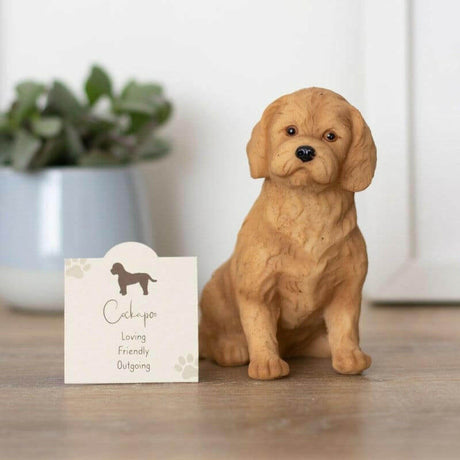 The Fashion Gift Shop: Cockapoo Resin Dog Ornament with Sentiment Card & Gift Box by Jones Home & Gifts, Ornaments