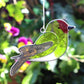 Colourful Goldfinch Bird Hanging Suncatcher Ethically Soured - Suncatchers by Jones Home & Gifts