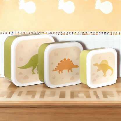 Three dinosaur lunch boxes set displayed on a shelf; white and olive-green frames