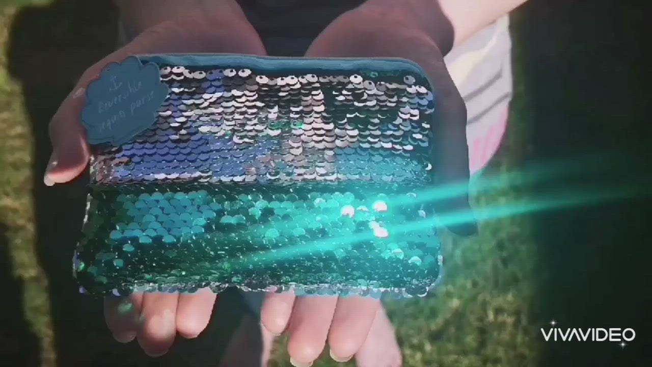 Reversible Sequins Mermaid Coin Purse with a Zip Closure