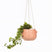 Face Hanging Planter Matte Pink and Matte Black by Sass and Belle
