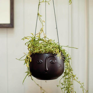 The Fashion Gift Shop: Face Hanging Planter Matte Pink and Matte Black by Sass and Belle, Pots and Planters