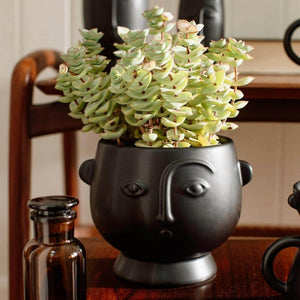 The Fashion Gift Shop: Face Hanging Planter Matte Pink and Matte Black by Sass and Belle, Pots and Planters