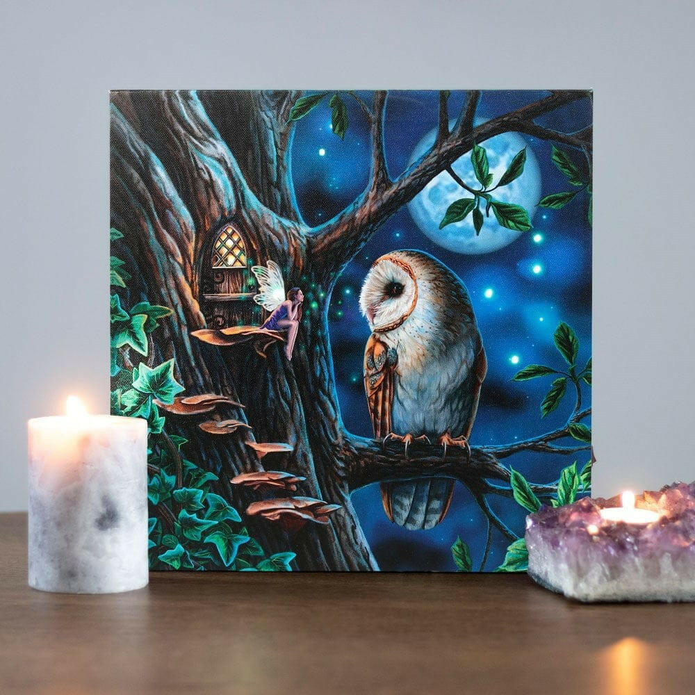 Lisa Parkers Fairy Tales Light Up Canvas Wall Print Owl, Fairy Story - The Fashion Gift Shop by Lisa Parker