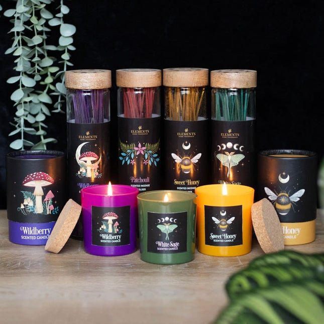 Forest Mushroom Wild berry Candle with Box - Candles by Jones Home & Gifts