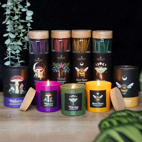 The Fashion Gift Shop: Forest Mushroom Wild berry Candle with Box by Jones Home & Gifts, Candles