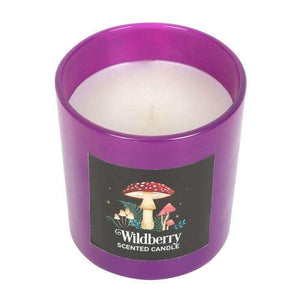 The Fashion Gift Shop: Forest Mushroom Wild berry Candle with Box by Jones Home & Gifts, Candles