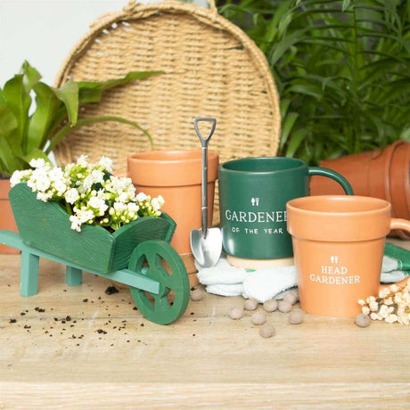 The Fashion Gift Shop: Green Resin Wheelbarrow Planter by Jones Home & Gifts, Pots and Planters