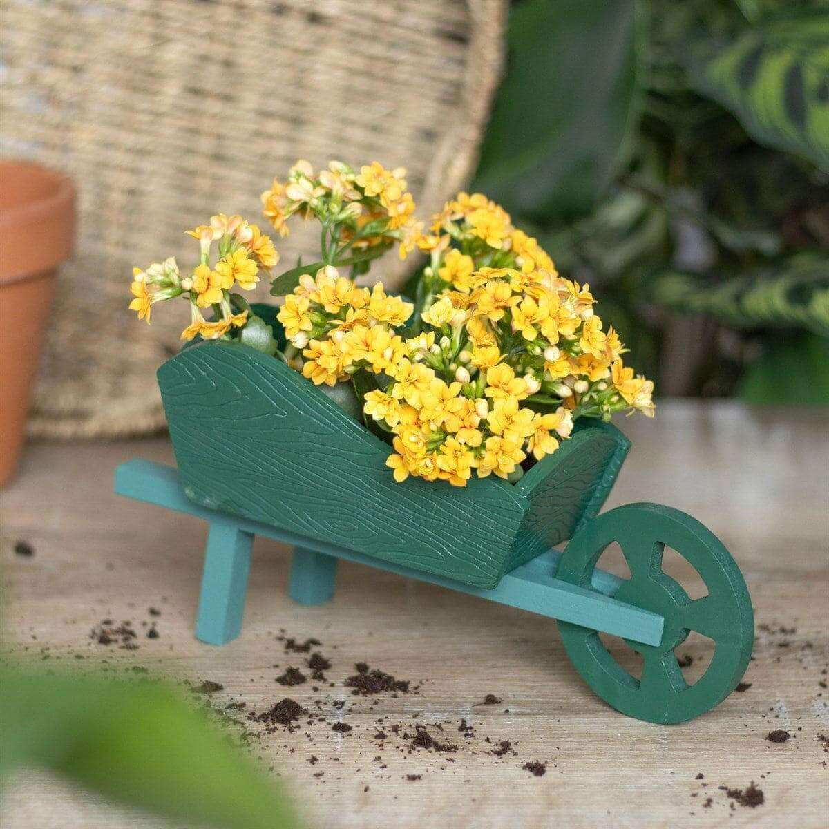 The Fashion Gift Shop: Green Resin Wheelbarrow Planter by Jones Home & Gifts, Pots and Planters