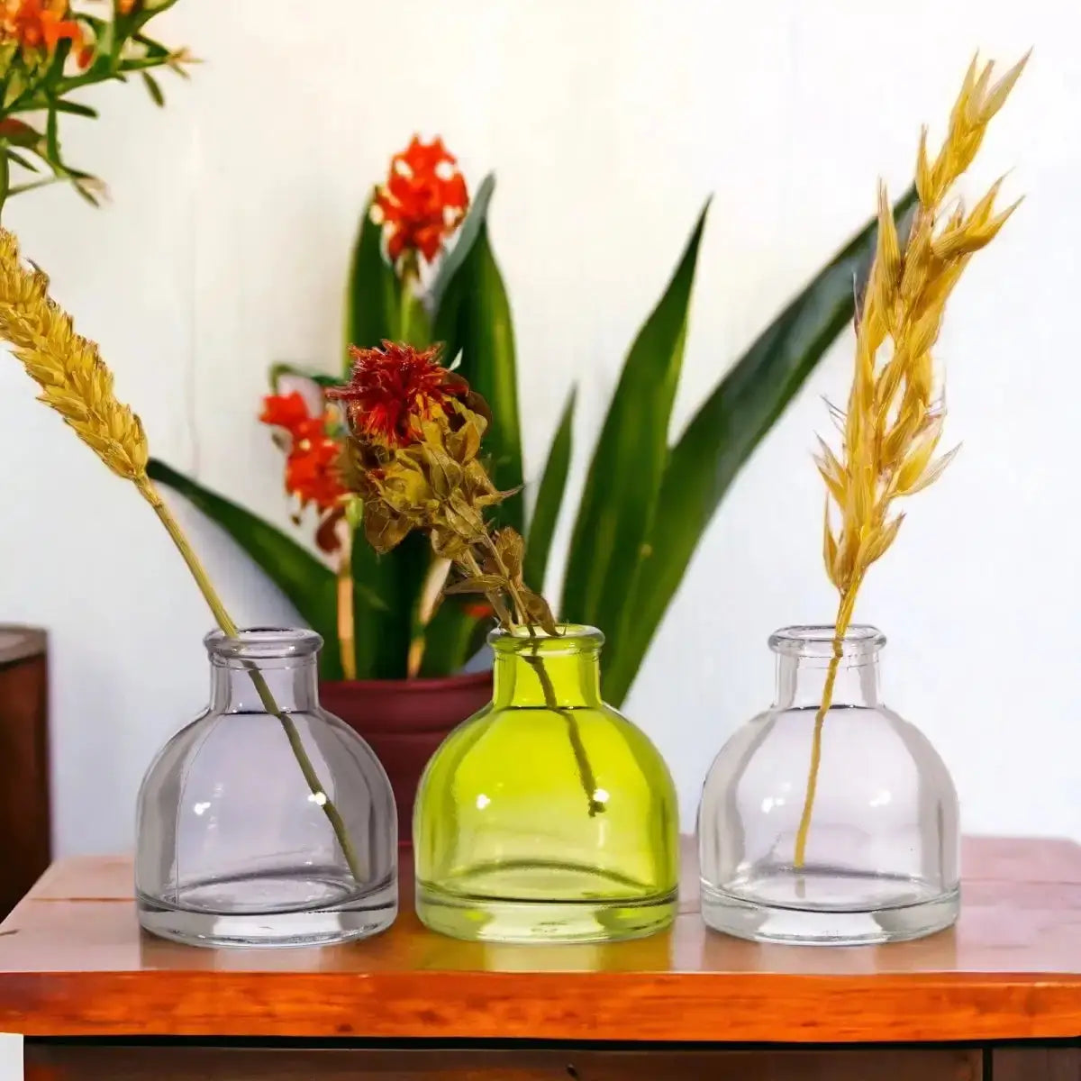 Three mini glass bud vases holding stems: smoky grey, lime green, and clear.