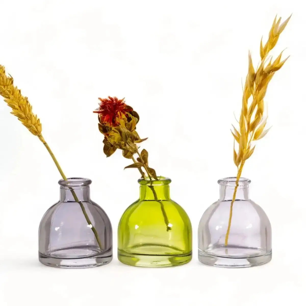 Three mini glass bud vases: smoky grey, lime green, and clear glass.