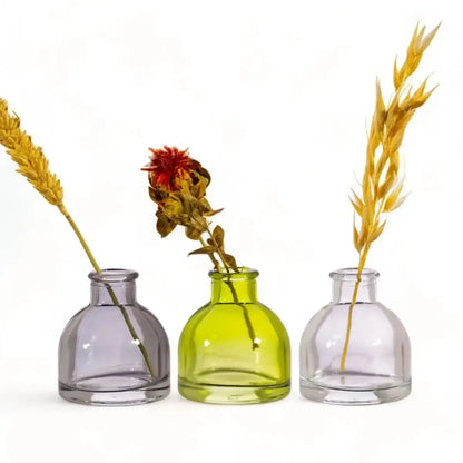Three mini glass bud vases: smoky grey, lime green, and clear glass.