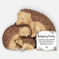 Hedgehog Family Ornaments - Set of 3 - Ornaments by Jones Home & Gifts