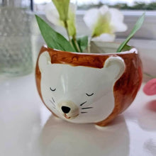 Hedgehog planter bowl with brown textured body, white face, and green plants inside