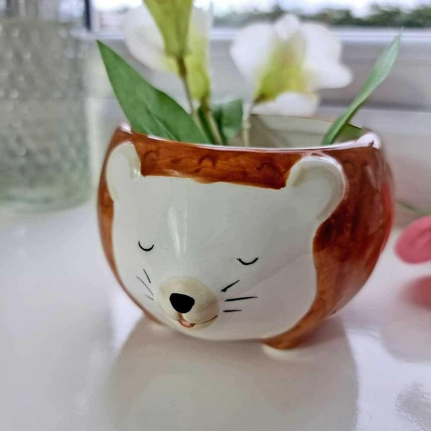 The Fashion Gift Shop: Hettie the Hedgehog Planter Bowl by Sass and Belle, Pots and Planters