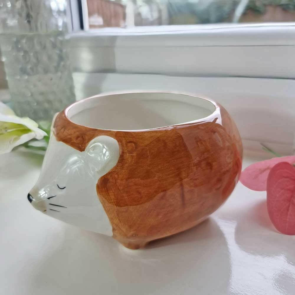 Hedgehog planter bowl side view, brown textured shell with white snout and ear