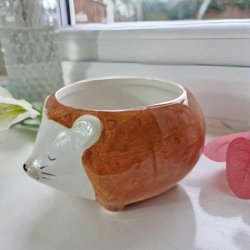 The Fashion Gift Shop: Hettie the Hedgehog Planter Bowl by Sass and Belle, Pots and Planters