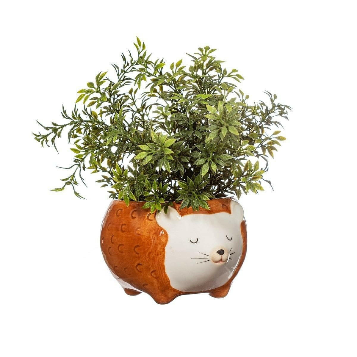Hedgehog planter bowl with leafy green plant and smiling hedgehog face