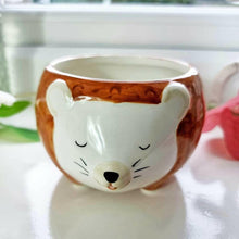 Hedgehog planter bowl close-up: white face with closed eyes and brown rim