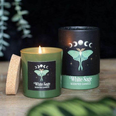 The Fashion Gift Shop: Luna Moth White Sage Candle with Box by The Dark Forest, Candles