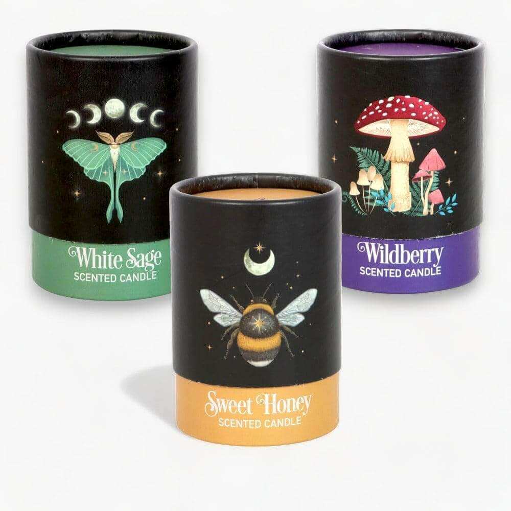 Luna Moth White Sage Candle with Box by The Dark Forest