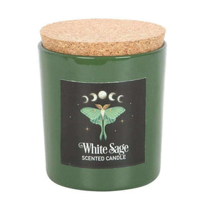 The Fashion Gift Shop: Luna Moth White Sage Candle with Box by The Dark Forest, Candles