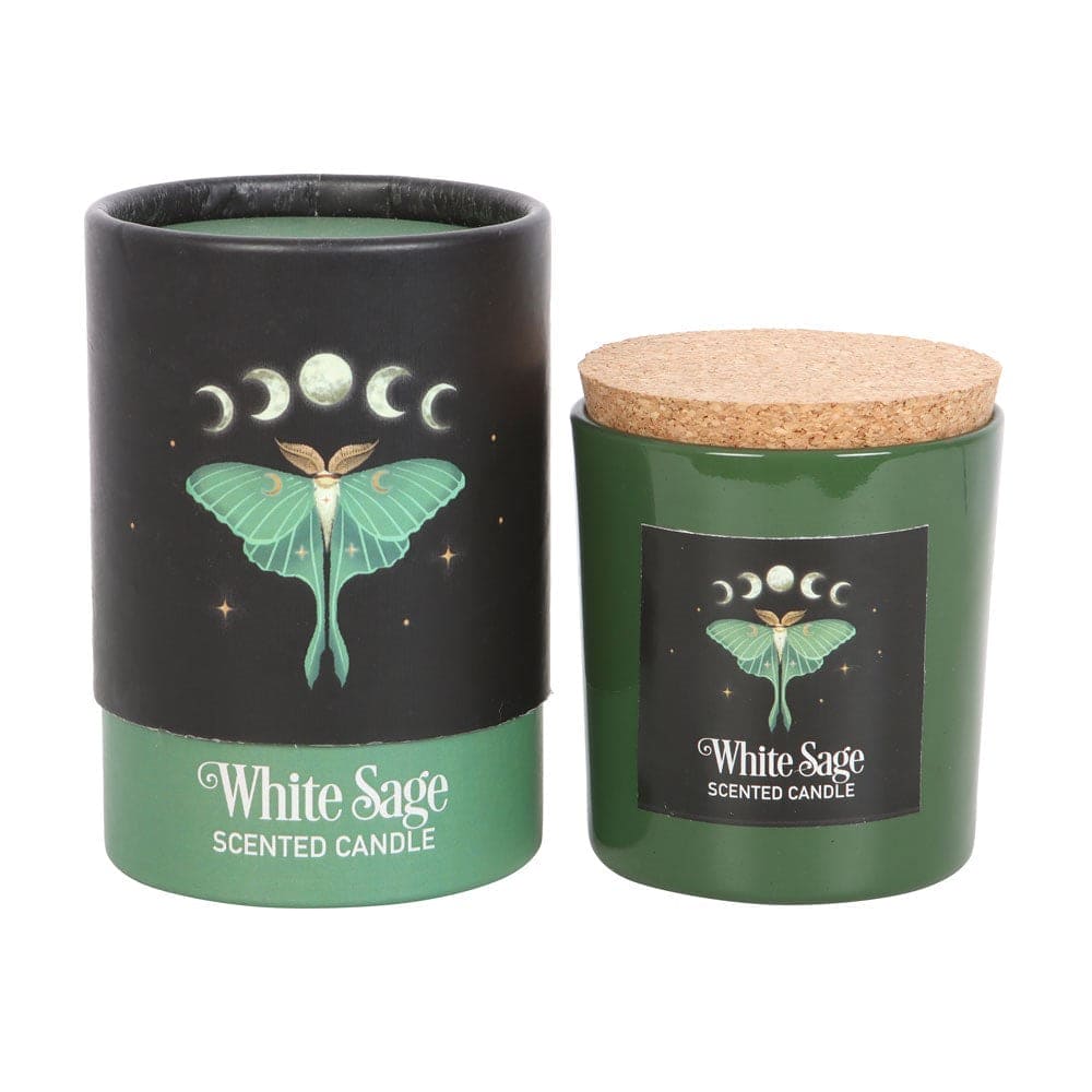 Luna Moth White Sage Candle with Box - Candles by Jones Home & Gifts