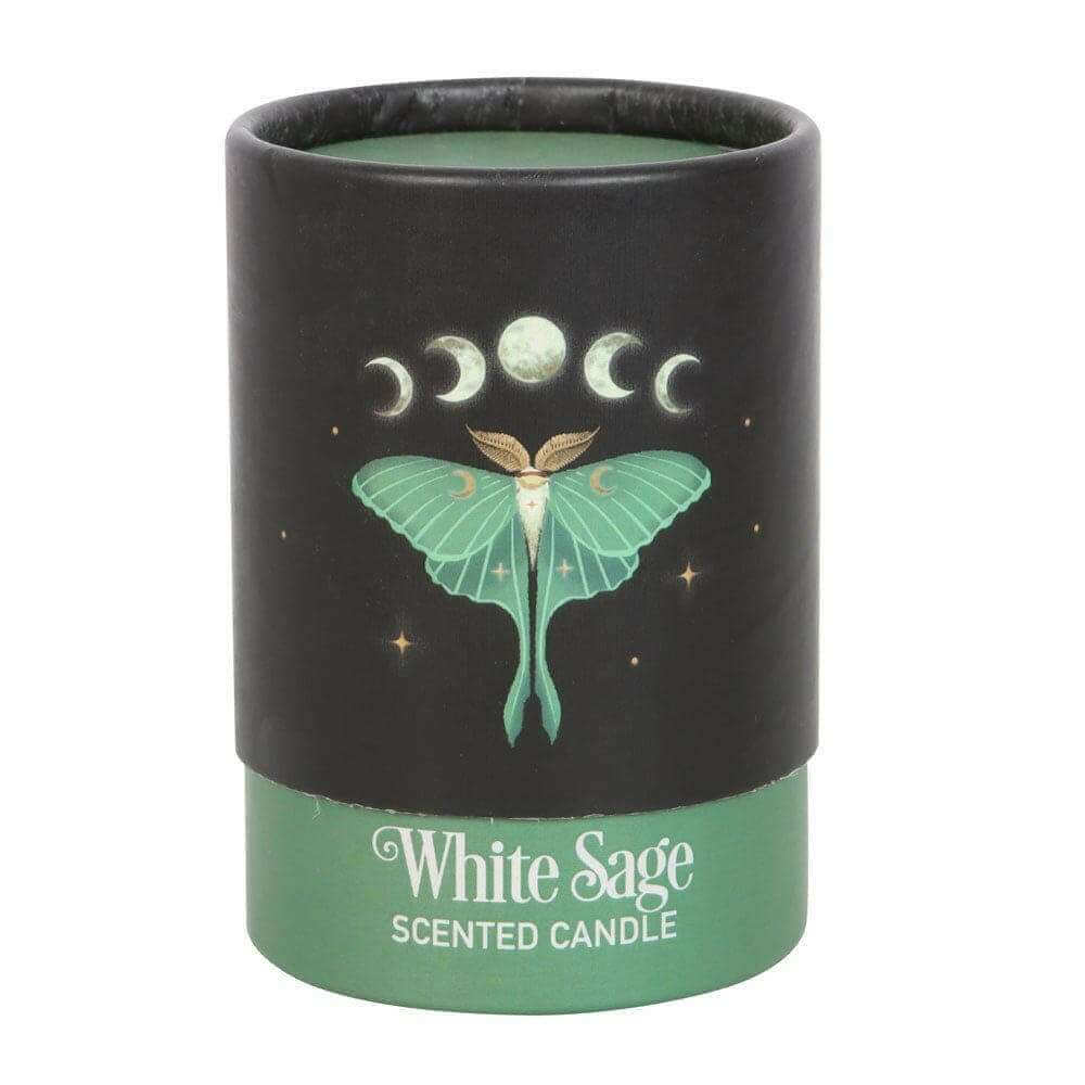 Luna Moth White Sage Candle with Box by The Dark Forest