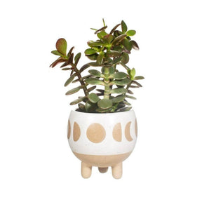 The Fashion Gift Shop: Moon Phases Small Planter White Small Housing Plant Holder by Sass and Belle, Pots and Planters