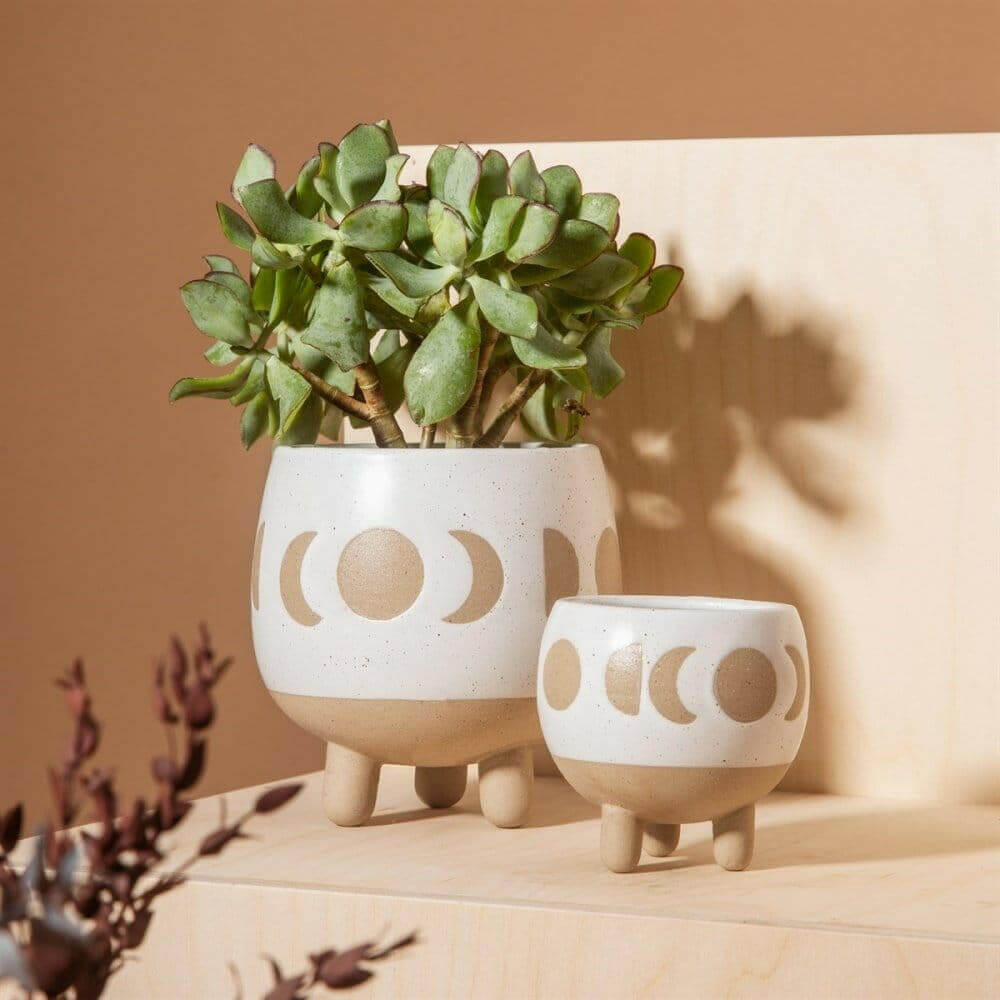 The Fashion Gift Shop: Moon Phases Small Planter White Small Housing Plant Holder by Sass and Belle, Pots and Planters