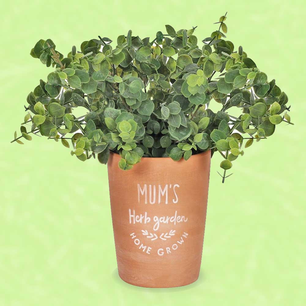 Mum's Herb Garden Terracotta Plant Pot - Pots & Planters by Jones Home & Gifts