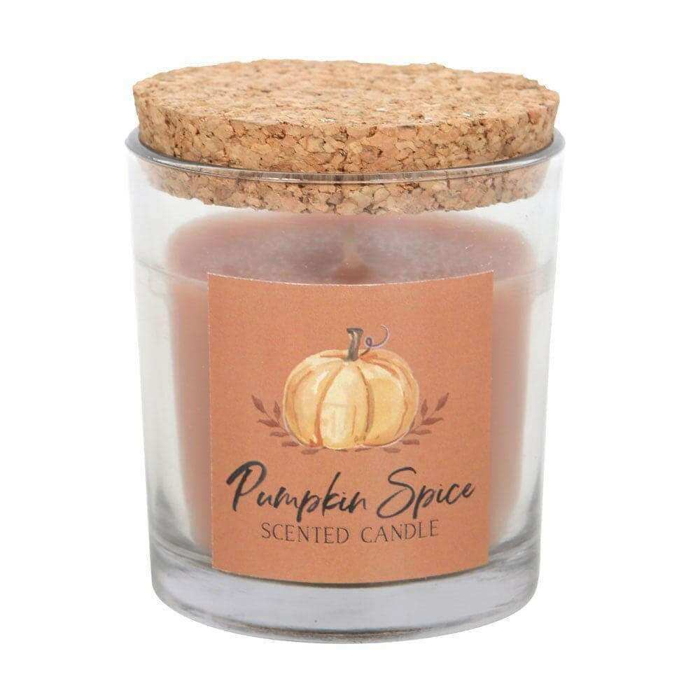 The Fashion Gift Shop: Pumpkin Spice Autumn Candle with Glass Jar and Matching Box by Jones Home & Gifts, Candles
