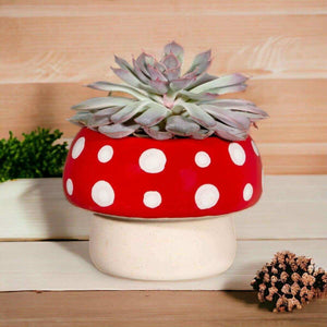 The Fashion Gift Shop: Red Mushroom Large Planter by Sass and Belle, Pots and Planters