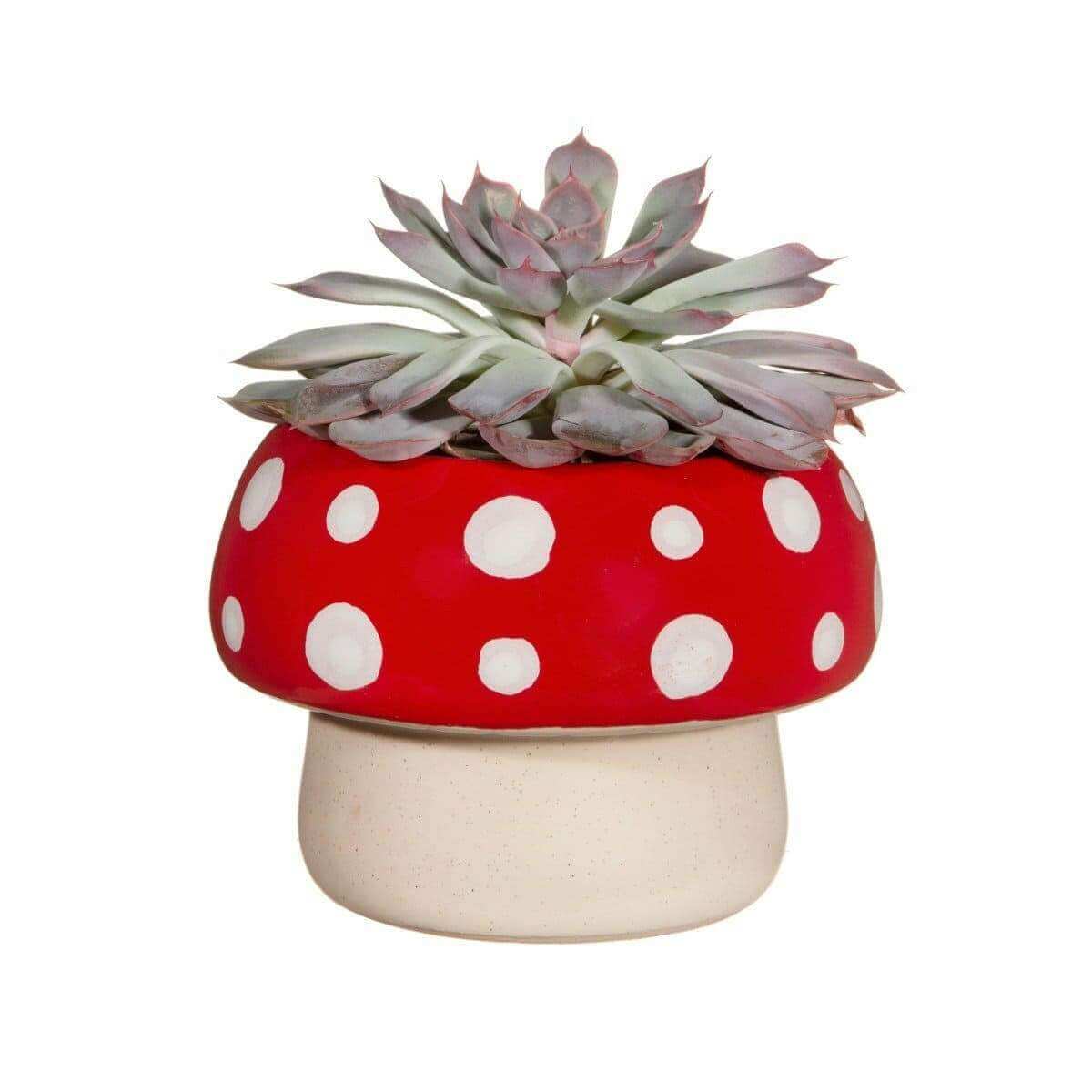 Red Mushroom Large Planter by Sass and Belle