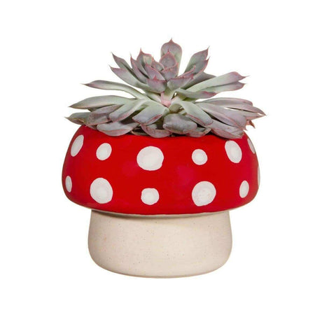 The Fashion Gift Shop: Red Mushroom Large Planter by Sass and Belle, Pots and Planters