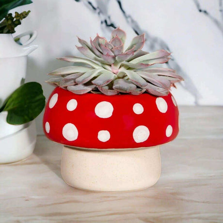 The Fashion Gift Shop: Red Mushroom Large Planter by Sass and Belle, Pots and Planters