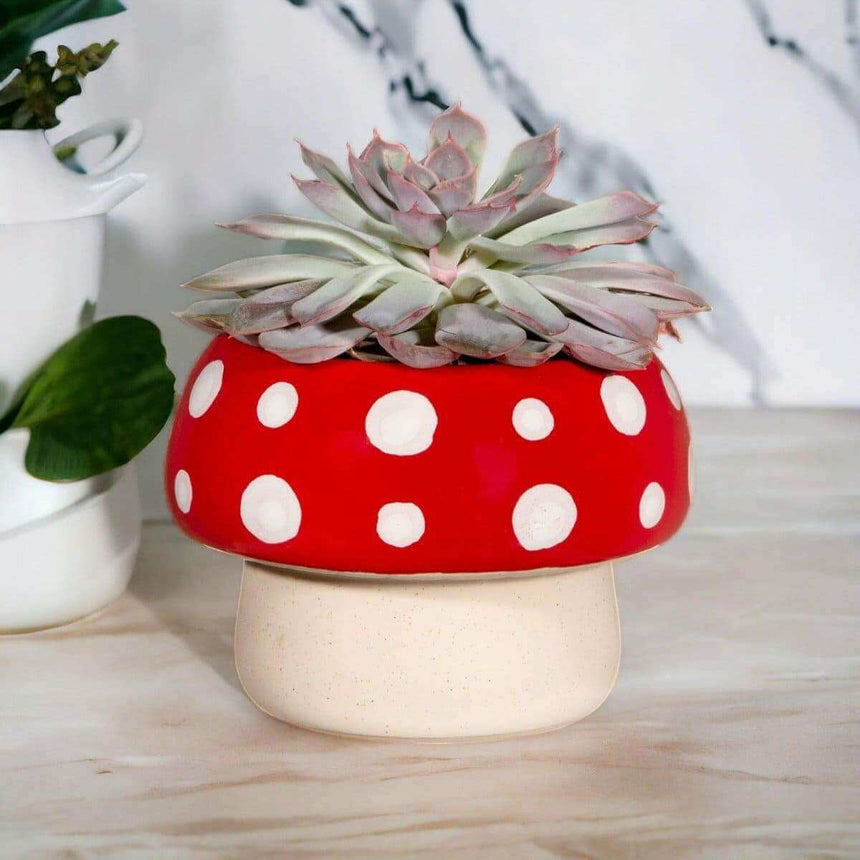 The Fashion Gift Shop: Red Mushroom Large Planter by Sass and Belle, Pots and Planters