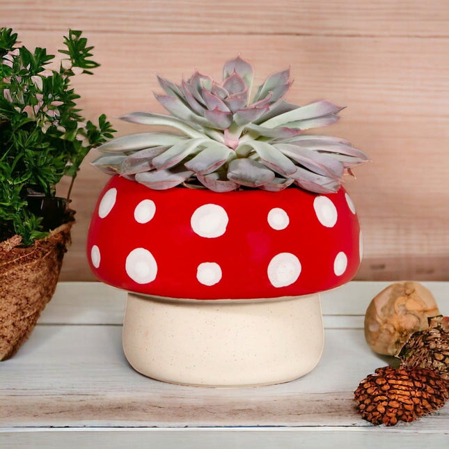 Red Mushroom Large Planter - Pots and Planters by Sass & Belle