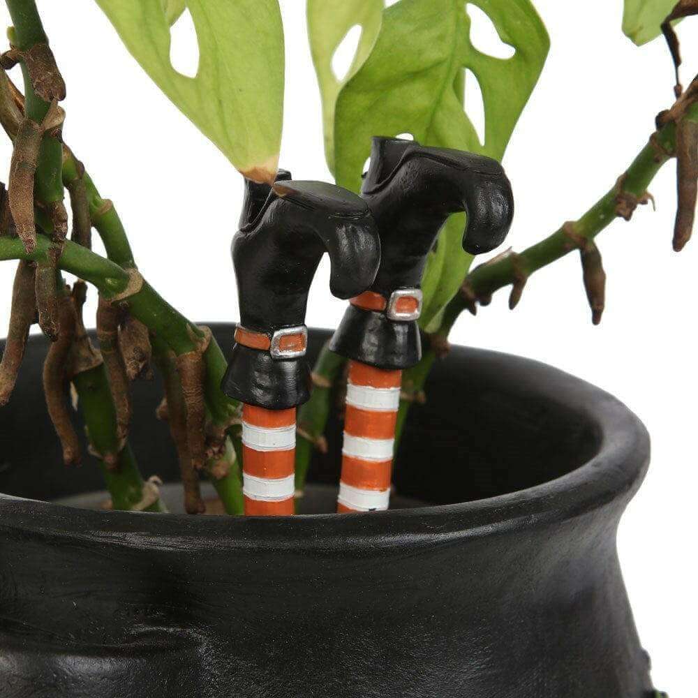 Witches Legs, Black Boots Plant Pot Accessory by Jones Home & Gifts