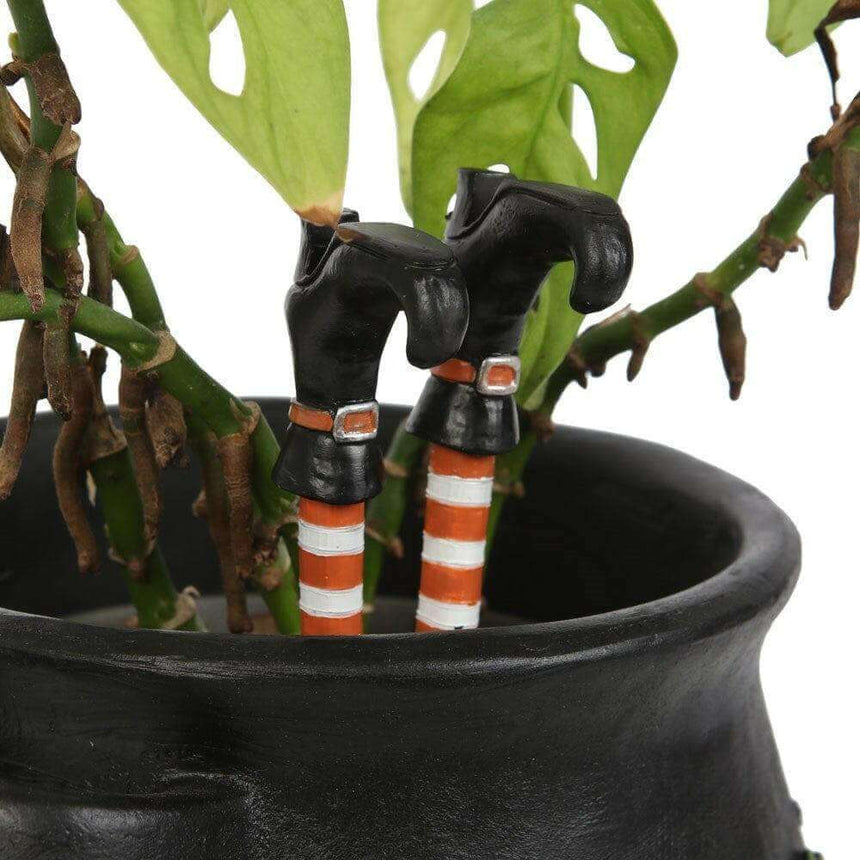 The Fashion Gift Shop: Witches Legs, Black Boots Plant Pot Accessory by Jones Home & Gifts, Gardening Accessories
