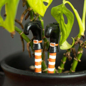 The Fashion Gift Shop: Witches Legs, Black Boots Plant Pot Accessory by Jones Home & Gifts, Gardening Accessories