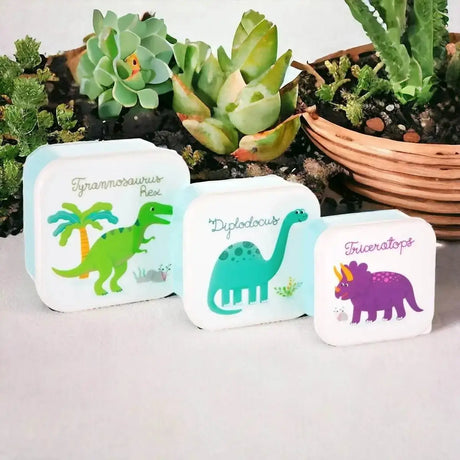 The Fashion Gift Shop: Set of 3 Roarsome Dinosaurs Lunch Boxes by Sass and Belle, Lunch Boxes