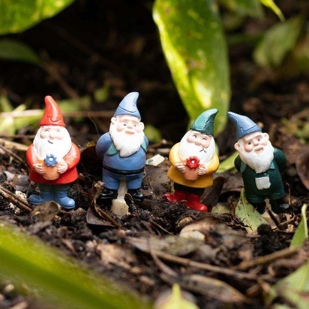 Mini gnome plant pot pals figurines in dark soil with green leaves and flowers