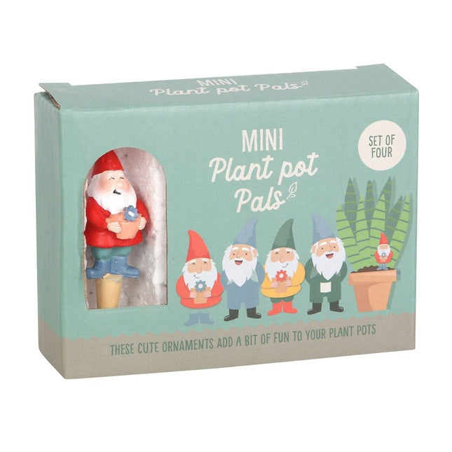 Set of 4 Mini Garden Gnome Plant Pot Pals, Fairy Garden, Planters - Gardening Accessories by Jones Home & Gifts