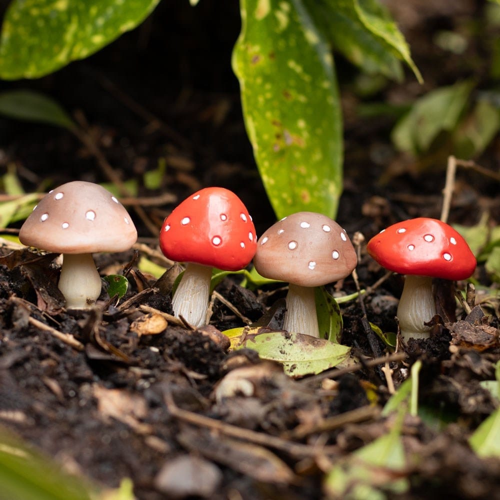 Set of 4 Mini Mushroom Plant Pot Pals, Fairy Garden Decor - Gardening Accessories by Jones Home & Gifts
