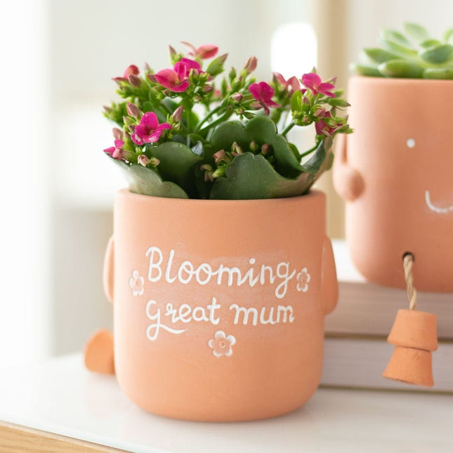 Sitting Plant Pot Friends - Blooming Great Mum - If Friends Were Flowers - Pots and Planters by Jones Home & Gifts