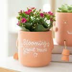 Sitting Plant Pot Friends - Blooming Great Mum - If Friends Were Flowers  Jones Home & Gifts  The Fashion Gift Shop .