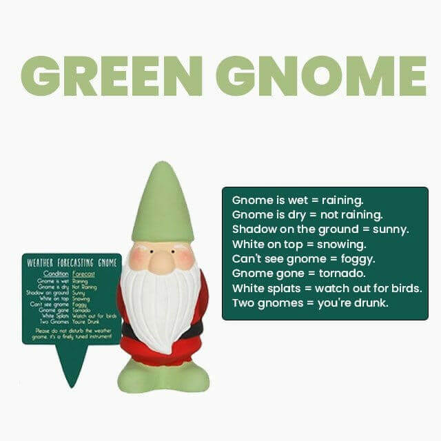 Green weather forecasting garden gnome with green weather forecast sign
