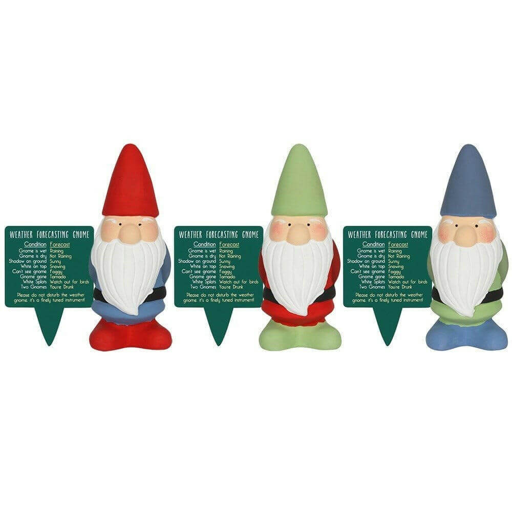 Weather forecasting garden gnomes in red, green, and blue, shown side by side